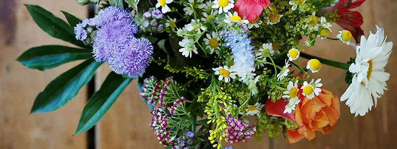 分类： <span>插花知识</span>