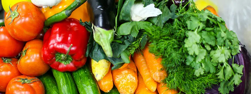 分类： <span>蔬菜种植</span>